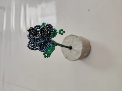 Multicolor rose på fod