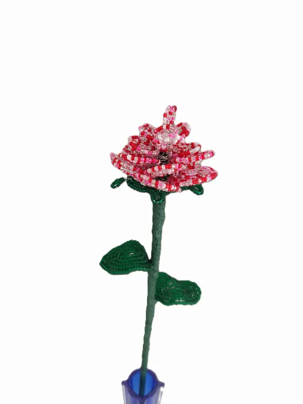 Sweetheart rose