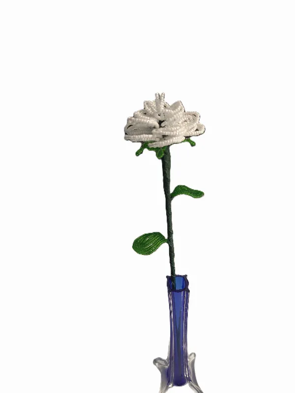 Hvid rose